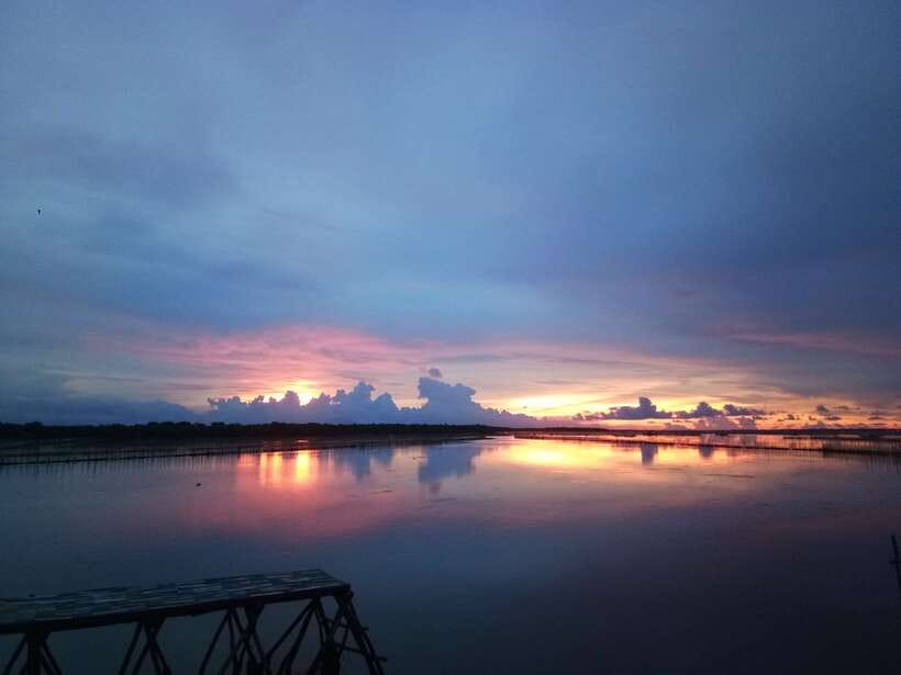 Half-day Tam Giang Lagoon Adventure And Fisherman's Feast - Tour Overview and Pricing