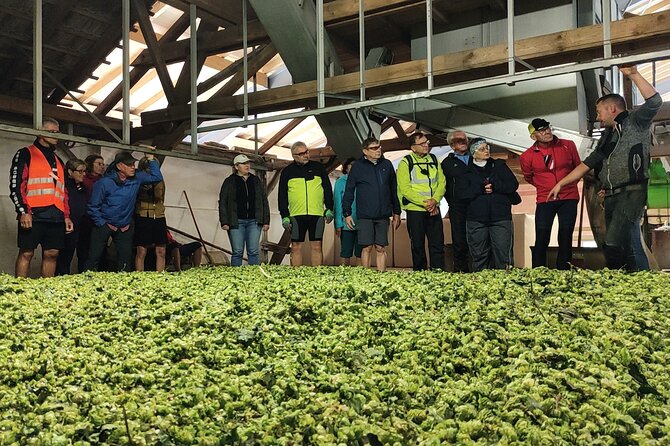 Hallertau Experience With Hop Harvest, Lunch and Hop Museum