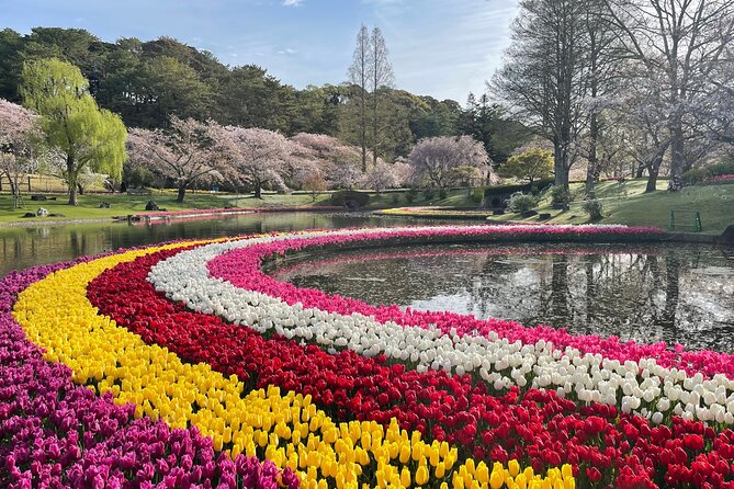 Hamamatsu Flower Park & Lake Hamana Private Tour With Public Bus