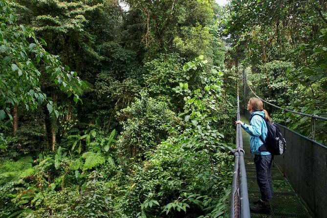 Hanging Bridges +La Fortuna Waterfall+ Arenal Volcano Hike Combo Experience - Discovering La Fortuna Waterfall