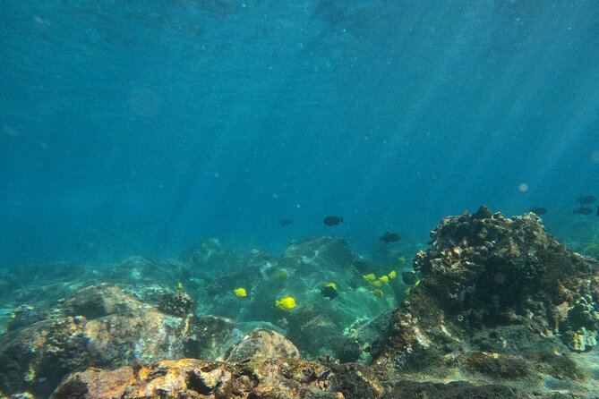 Hawaiian Sail and Snorkel in Kailua-Kona, Hawaii - Inclusions