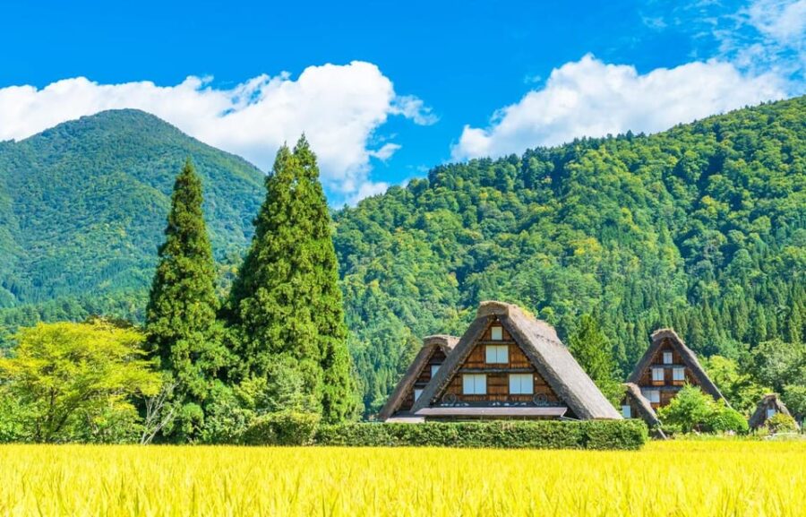 Hida Takayama, Shiragawago UNESCO Full-Day Tour From Nagoya