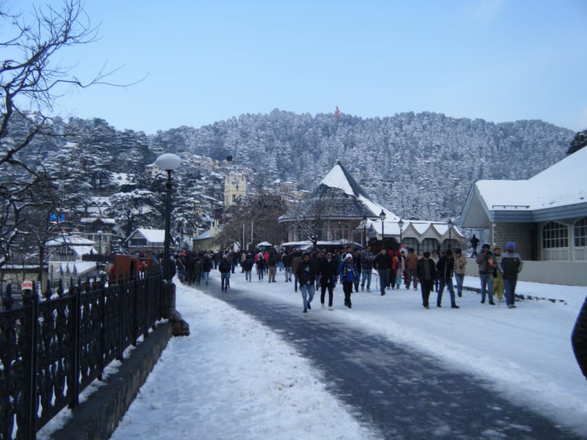 Himachal Delights: A Journey Through Shimla and Manali