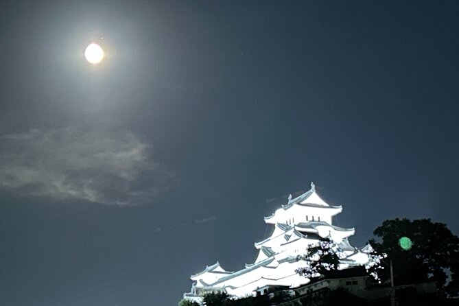 Himeji Castle Tour and Craft Experience