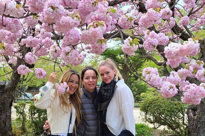 Hirosaki Full-Day Private Tour With Government-Licensed Guide