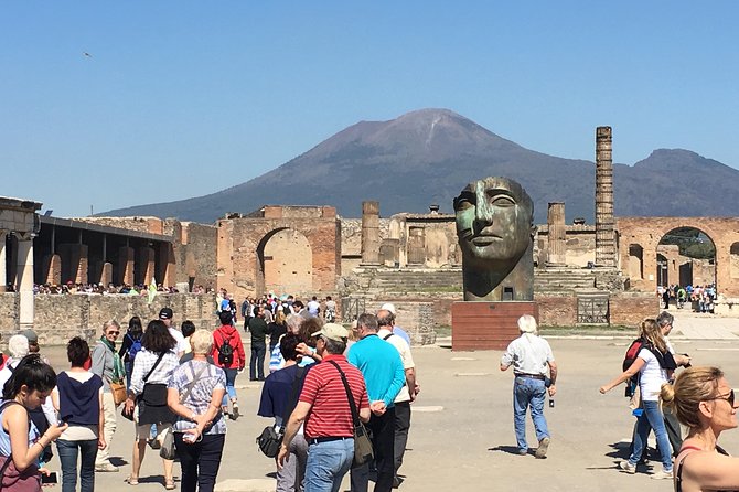 History and Wine – Private Car Service, Guided Tour of Pompeii and Wine Tasting
