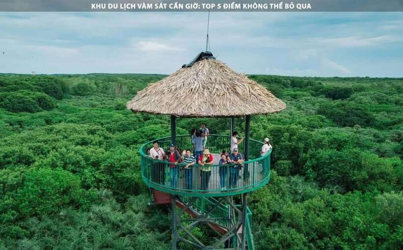 Ho Chi Minh City: Can Gio Monkey Island Day Trip With Lunch