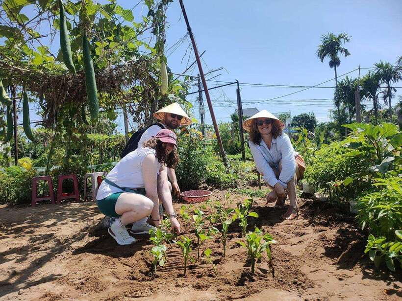 Hoi An Eco Tour : Bike, Farm and Lantern Making Experience