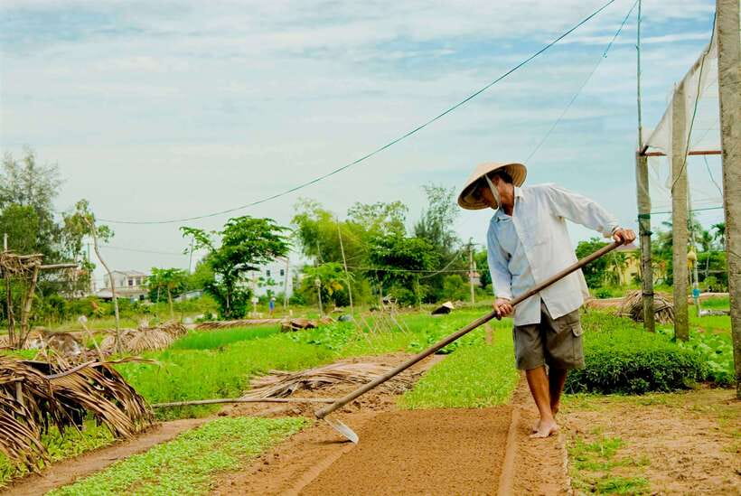 Hoian/Da Nang: Fishing, Basket Riding and Cooking Class - Activity Overview