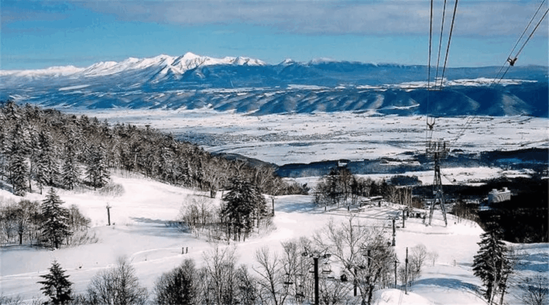 Hokkaido 10-Hour Chartered Day Trip｜Furano - Included and Excluded Services