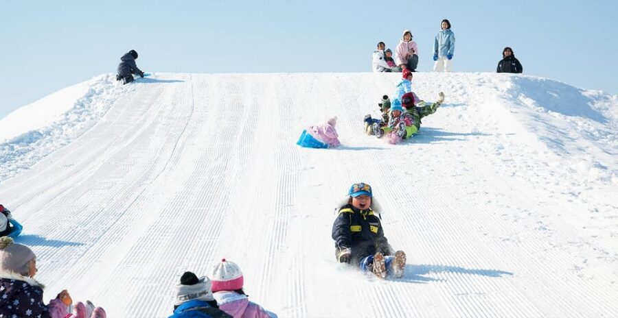 Hokkaido: Asahiyama Zoo, Biei, Ningle Terrace Full-Day Trip
