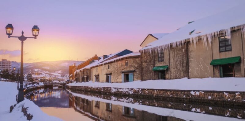 Hokkaido Tour❘Otaru,Shiroikoibito Park,Snowland From Sapporo - Itinerary and Attractions