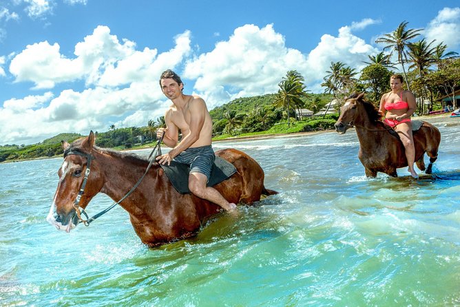 Horseback Ride N Swim St. Lucia From Castries