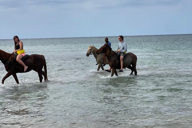 Horseback Riding and Swimming in Ocho Rios