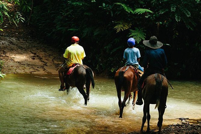 Horseback Riding and Waterfalls From Manuel Antonio