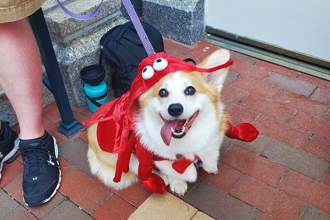 Howl O Ween Doggy Costume Party Cruise - Event Overview