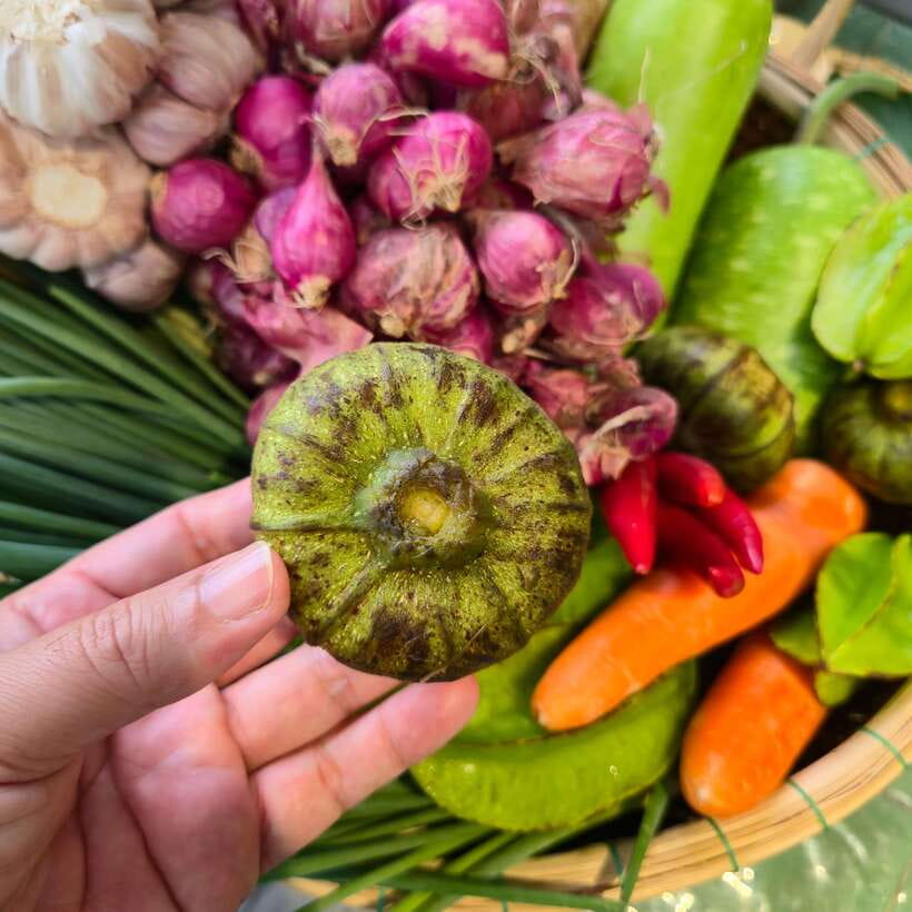 Hue: Market Tour and Cooking Class With Typical Dishes