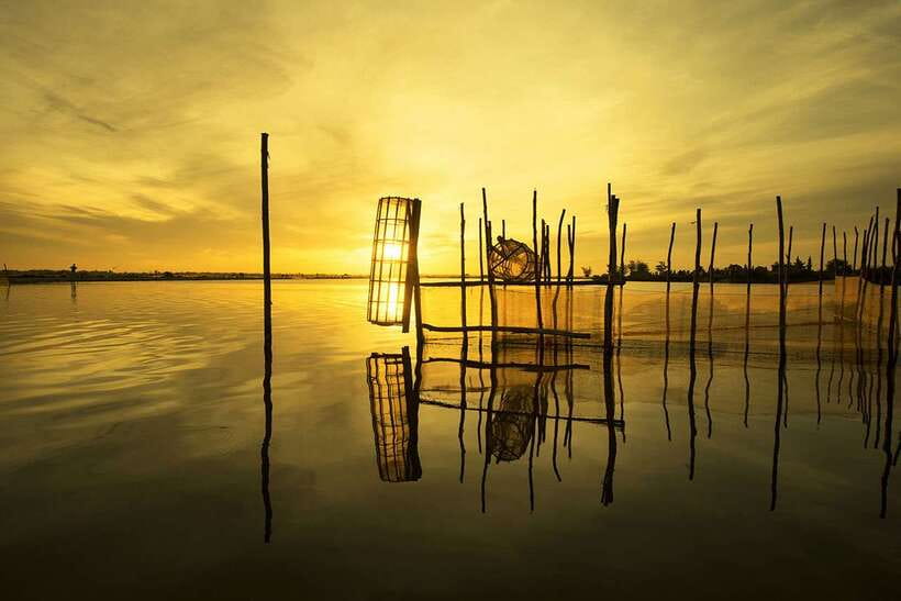 Hue: Sunset at Tam Giang Lagoon - Overview of the Sunset at Tam Giang Lagoon Activity