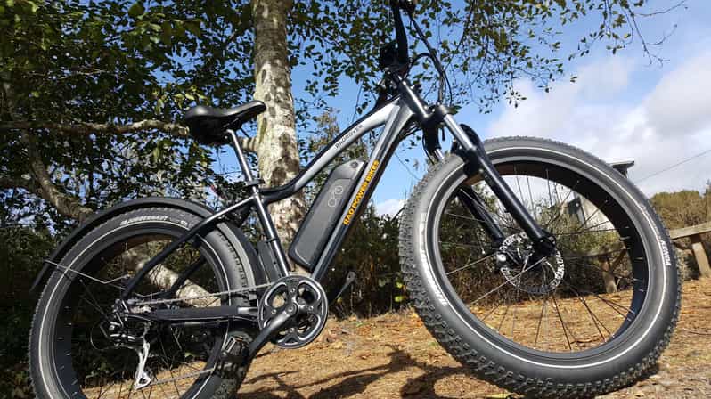 Humboldt Country: 4-Hour Electric Bike Rentals