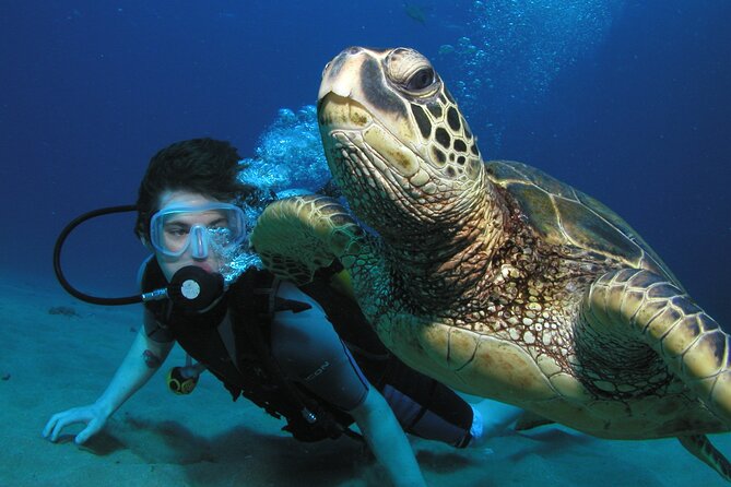 Intro Dive Kaanapali Swim Ability Required