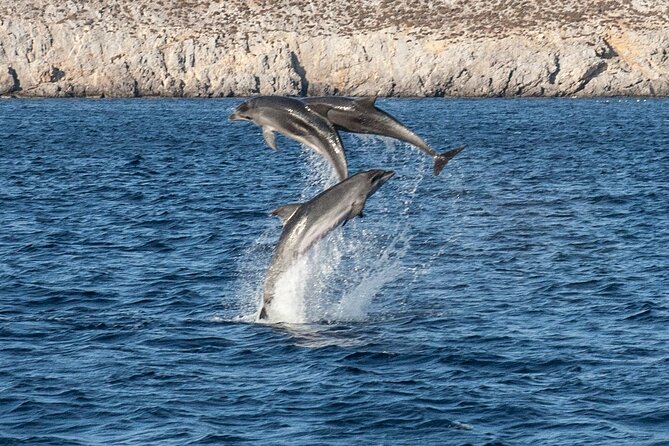 Iraklia and Schinoussa Day Cruise From Naxos With Lunch