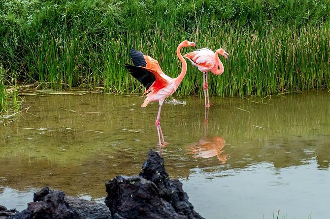 Isabela Island Explorer 2 Days -1 Night