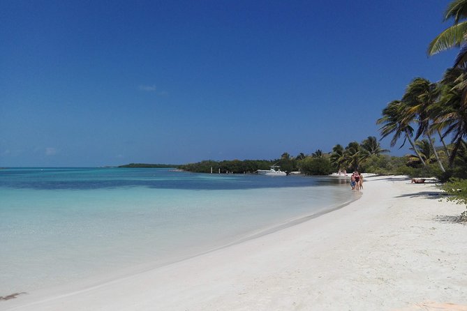 Isla Contoy & Isla Mujeres (From Playa Del Carmen)