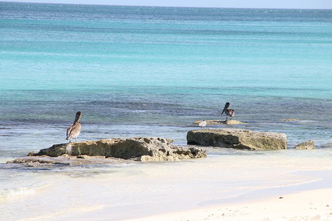 Island Beach Hopping