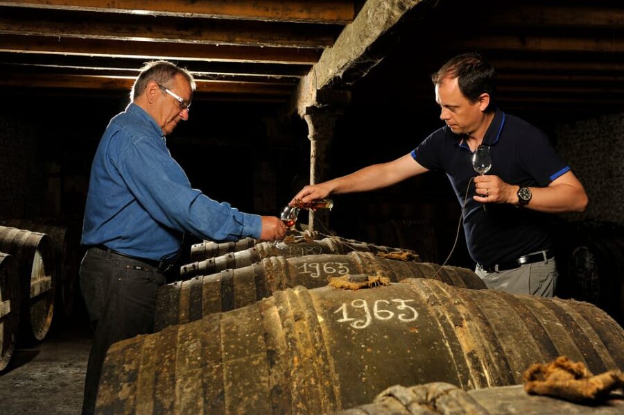Jarnac-Champagne: Tour at Château Montifaud Cognac ENG