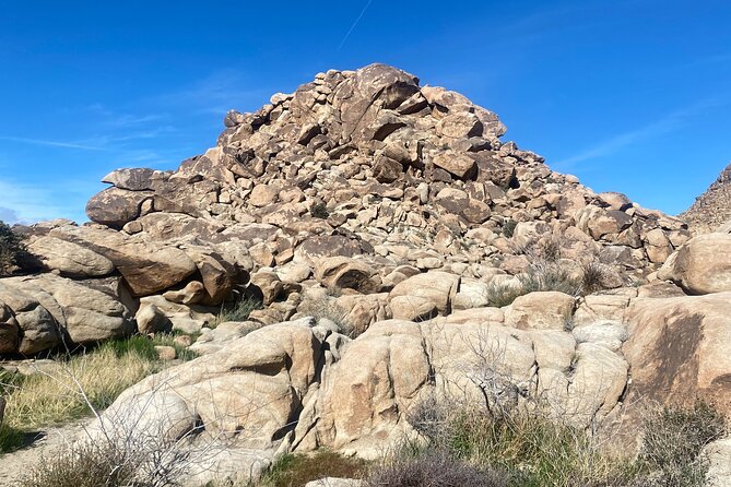 Joshua Tree Natural Wonders Walk: Plants, Animals and Rocks