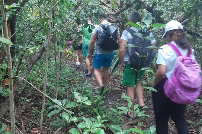 Jozani Forest Tour
