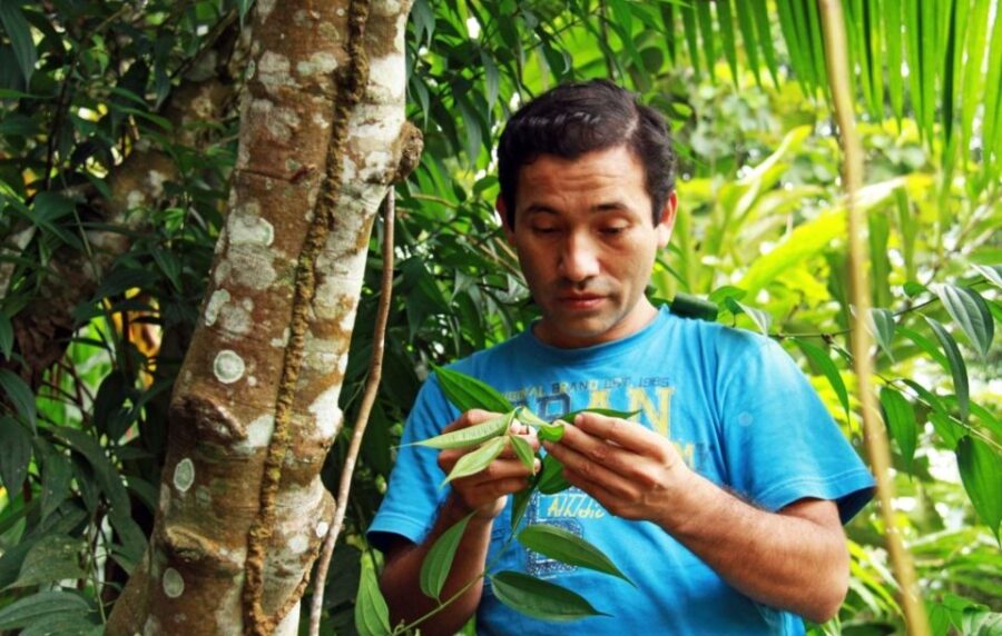Jungle Iquitos 3D |Boating+Piranha Fishing+Night Excursion|
