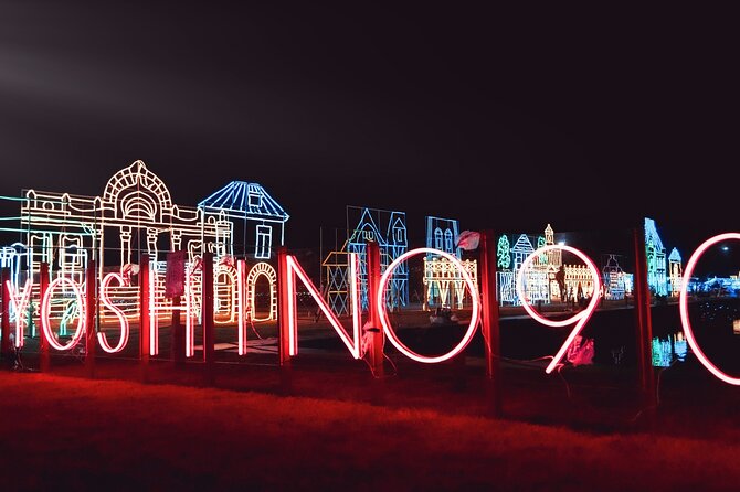 Kagoshimas Largest Winter Light Display