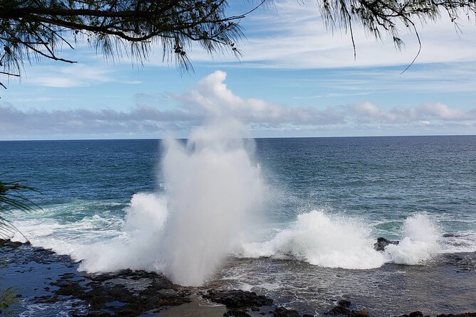 Kauai Island Day Trip From Oahu With Airfare Included