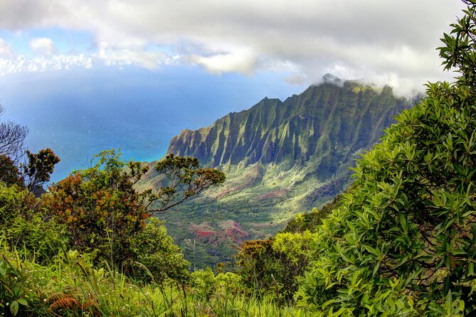 Kauai Island Private Guided Tour-Waimea Canyon From Poipu/Koloa