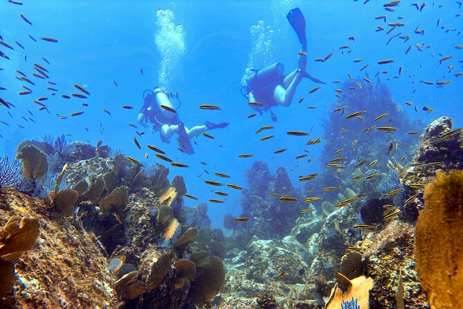 Kauais Exclusive Morning Scuba Charter for Experienced Divers