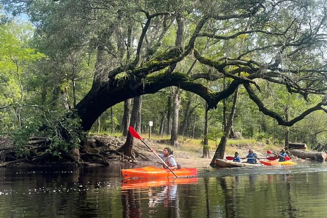 Kayak Rental on the Waccamaw River