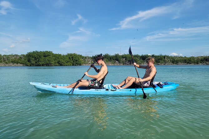 Kayak Through Mangrove Forests Review