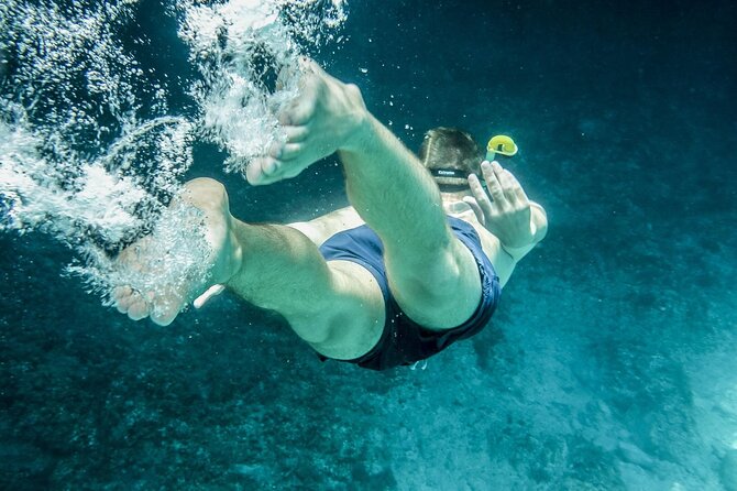 Key Largo Trip From Miami With Activities