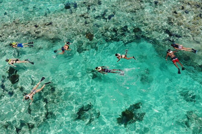 Key West: 3hrs Snorkeling Experience Unlimited Drinks (Breakfast-Am Tour) & Meal