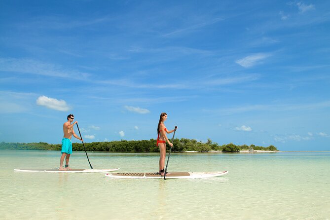 Key West Island Eco Tour With Transportation From Miami