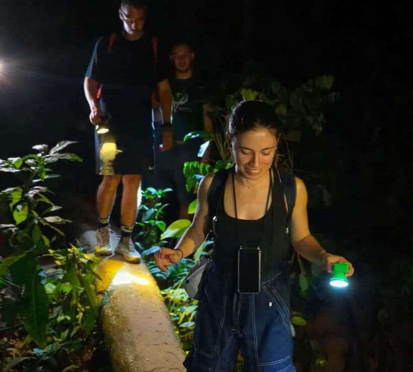 Khao Sok: Private Night Safari Adventure W/ Hotel Transfer