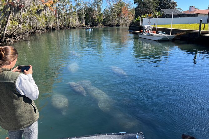 Kings Bay Eco Tours - Tour Overview