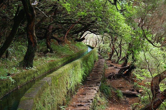 Kings Levada