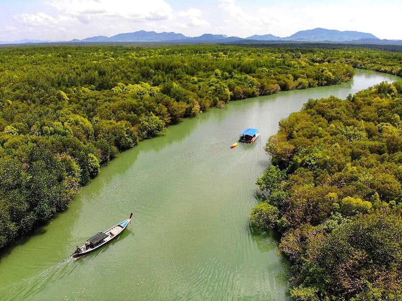 Ko Lanta: Half-Day Mangrove Boat Trip With Local Guide