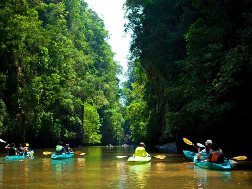 Ko Lanta: Mangrove Forest Kayak & Wildlife Adventure