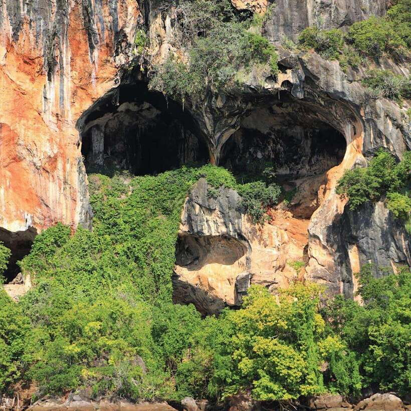 Ko Lanta: Sea Cave Kayaking Adventure Mangrove With Lunch