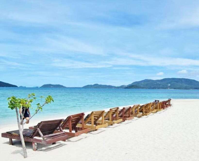 Ko Samui: Pig Island Snorkeling and Koh Tan Speedboat Tour - Tour Overview and Pricing