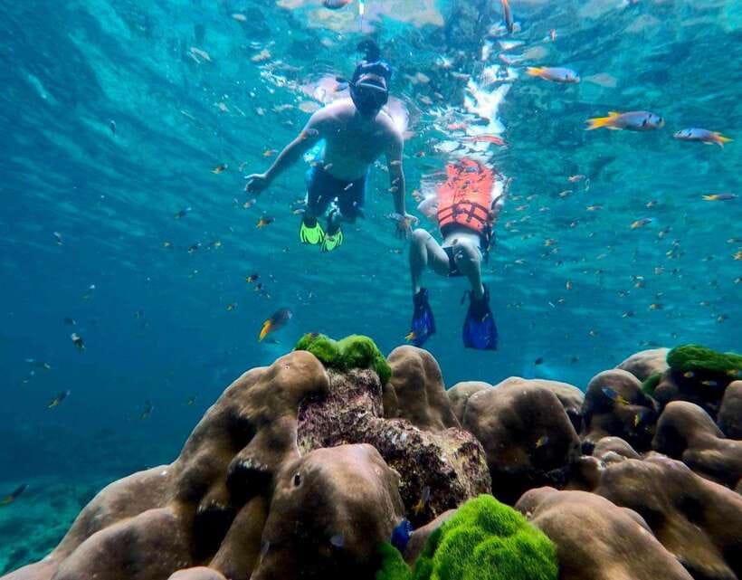 Koh Lanta: Emerald Cave, Ko Kradan & 4 Islands by Speedboat - Tour Overview
