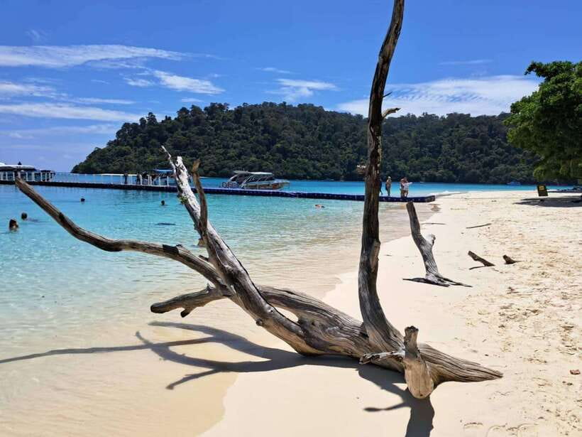 Koh Lanta: Koh Rok and Koh Haa Snorkeling Adventure - Tour Overview and Pricing